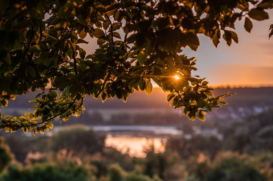 Hello par ici ! 👋
Déjà 3 semaines que ma première rentrée en tant que photographe a eu lieu et pour quelqu'un qui aime le changement, je dois dire que je suis servi ! Vous l'avez vu en story, je réalise actuellement un reportage photo dans l'Oise et cela m'offre l'opportunité chaque jour de me rendre dans des endroits uniques en pleine nature. C'est un réel plaisir de pouvoir capturer ces instants : une rentrée comme on les aime ! 😍
#photographer #visitbeauvais #travelphotographer #frenchcontentcreator #lecoindamaury