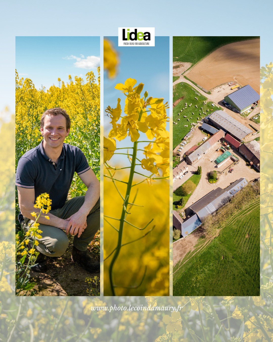 🔥 En avril dernier, je me suis rendu à Harquency (Normandie) à la Ferme de Travailles-Vente directe à la ferme dans le cadre la réalisation d'une campagne de communication pour le groupe LIDEA Seeds.
Ce dernier conçoit et propose des solutions innovantes et durables de semences multi-espèces qui créent de la valeur ajoutée pour les producteurs tout au long de l’année.
🙌 Dans notre cas, il est question de champs de colza que j'ai pu survoler au drone ! (je vous poste la vidéo dans les prochains publications 🥳)
📸 Réalisation d'un reportage photographique destiné à des supports print (brochures)+ web (visuels pour réseaux sociaux)
🎬 Tournage + montage d'une vidéo de témoignage de l'agriculteur incluant des vues de l'exploitation agricole au drone
--
➡️ Le Coin d'Amaury est un studio de production de contenu photo et vidéo B2B spécialisé dans le reportage tourisme et événementiel.
Pour tout complément d'information, n'hésitez pas à me contacter par mail : contact@lecoindamaury.fr ✨
#tourngaevideo #montage #videoediting #lideaseeds #campagnedecommunication #reportagephoto #lecoindamaury #photographereportage #videastefreelance #photographeb2b